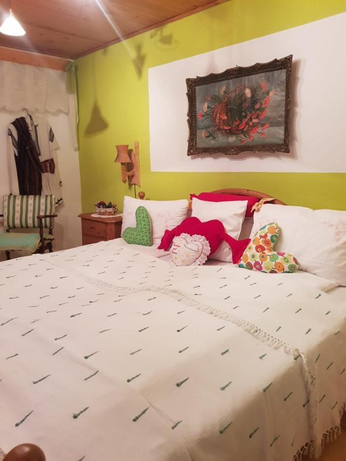 Littel Green Old Home Sighişoara Esterno foto