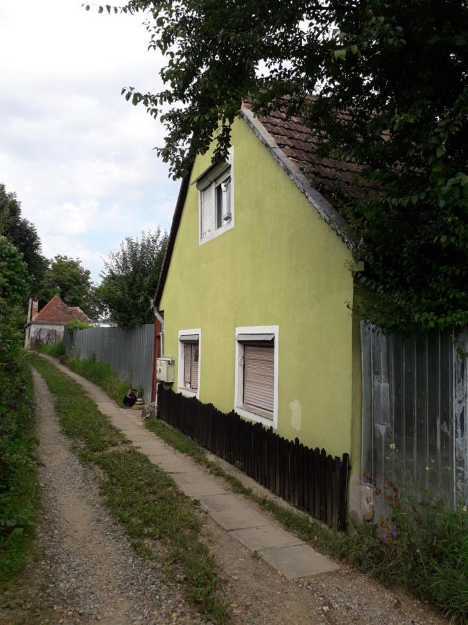 Littel Green Old Home Sighişoara Esterno foto